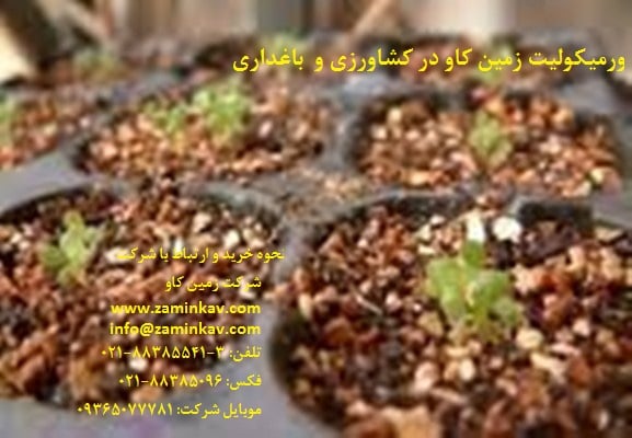 vermiculite-zaminkav-02188385541-(5)