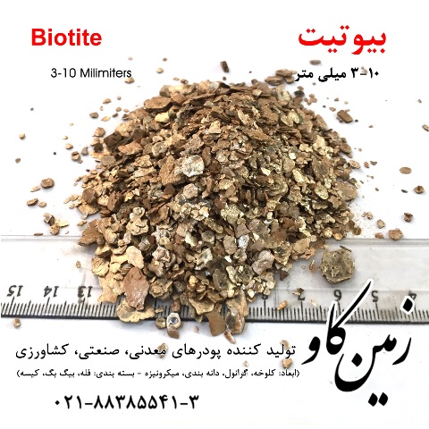 Biotite 3-10