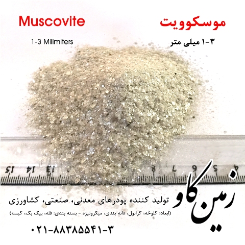 Muscovite 1-3