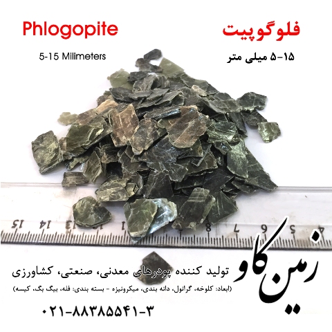 Phlogopiite 5-15---01