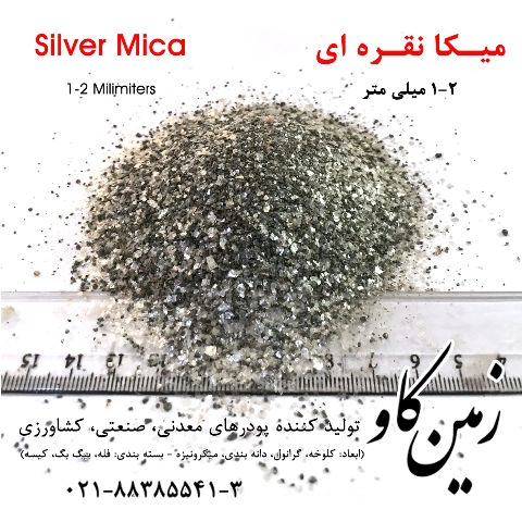 Silver Mica 1-2