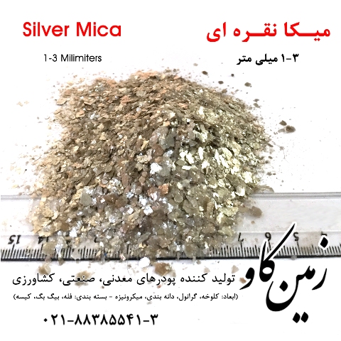 Silver Mica 1-3